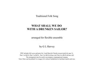 What Shall We Do With A Drunken Sailor? (Flexible Ensemble)