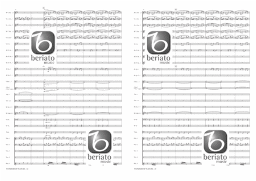 Wonders of Nature Fanfare Band scores gallery preview page 16