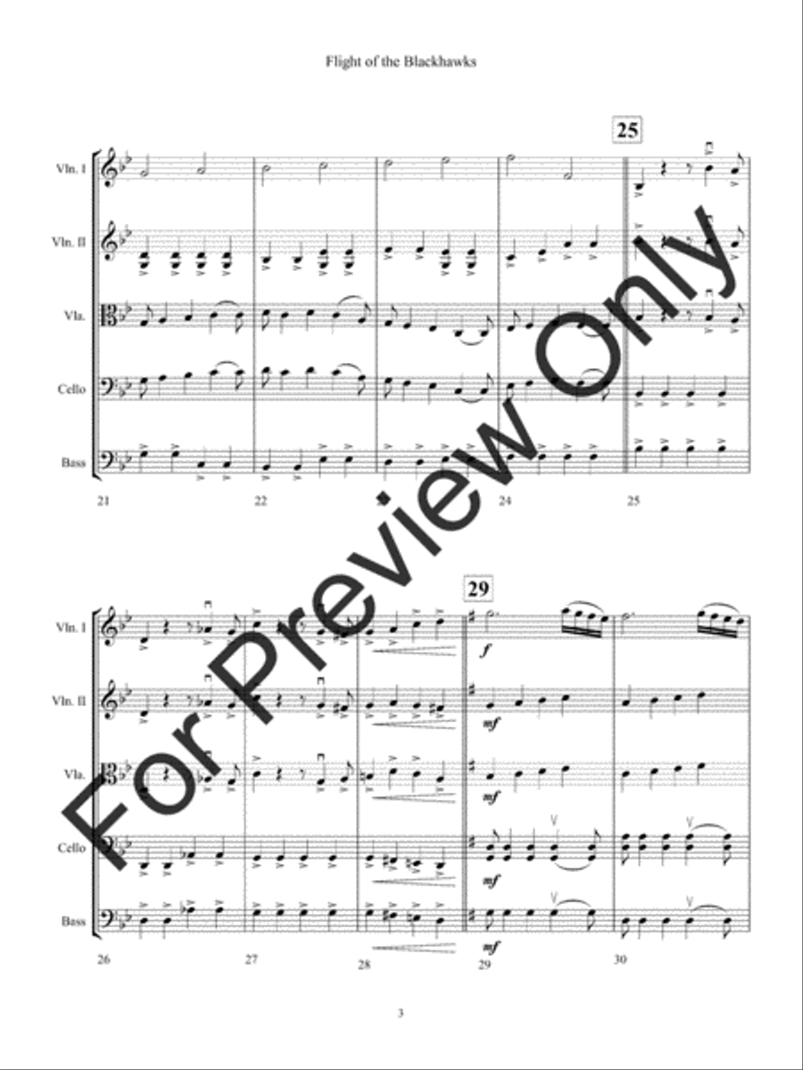 Flight of the Blackhawks Flight of the Blackhawks String Orchestra scores gallery preview page 6