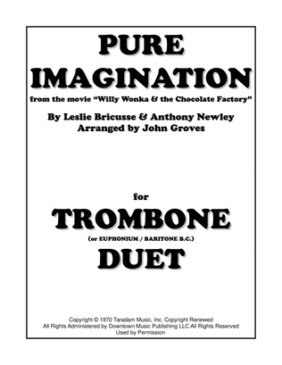 Book cover for Pure Imagination