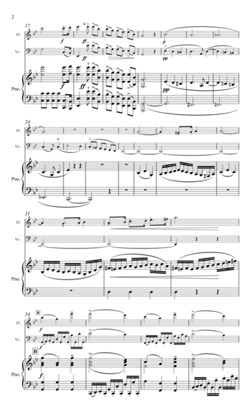 Weber, Trio for Flute, Cello & piano image number null