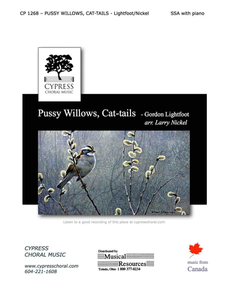 Pussy Willows and Cat-tails image number null