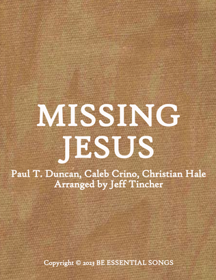 Book cover for Missing Jesus
