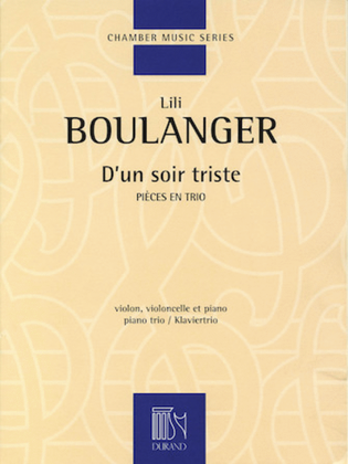 Book cover for D'un soir triste