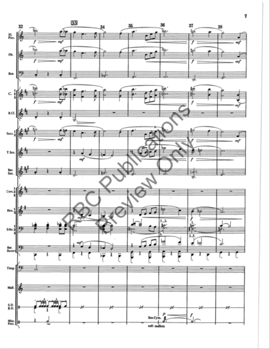 Danza Tambor Bolero Concert Band scores gallery preview page 8