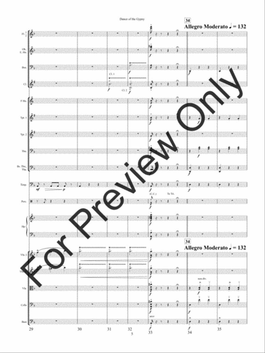 Dance of the Gypsy Dance of the Gypsy String Orchestra scores gallery preview page 8