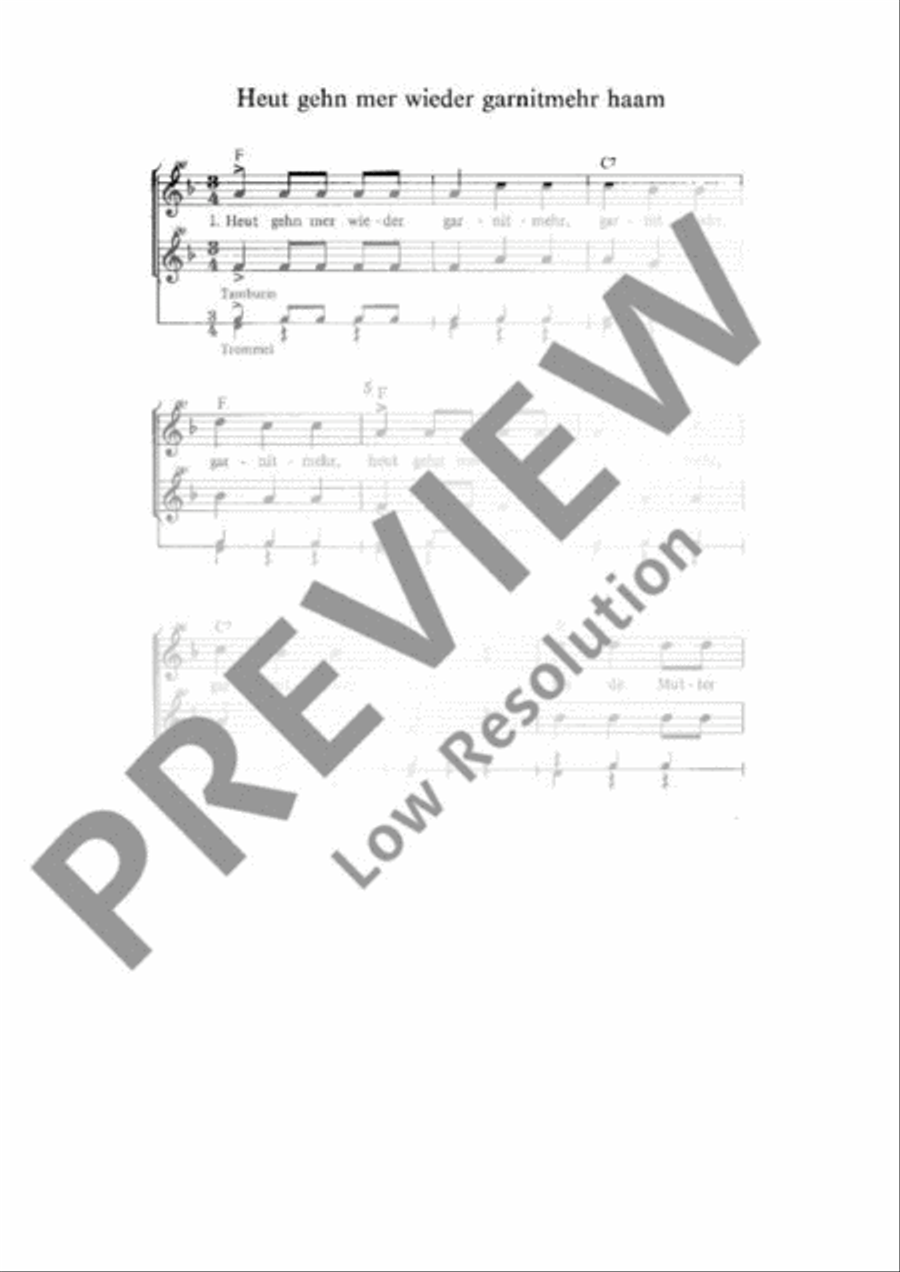 Heut gehn mer wieder garnitmehr haam Soprano Recorder scores gallery preview page 2