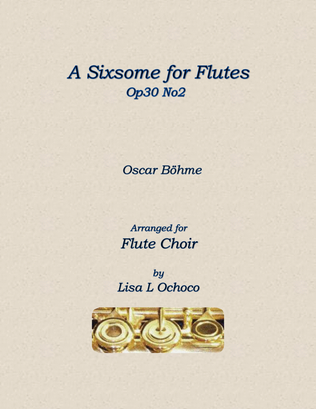 Book cover for A Sixsome for Flutes Op30 No2 for Flute Choir