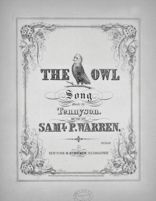 Book cover for The Owl. Song
