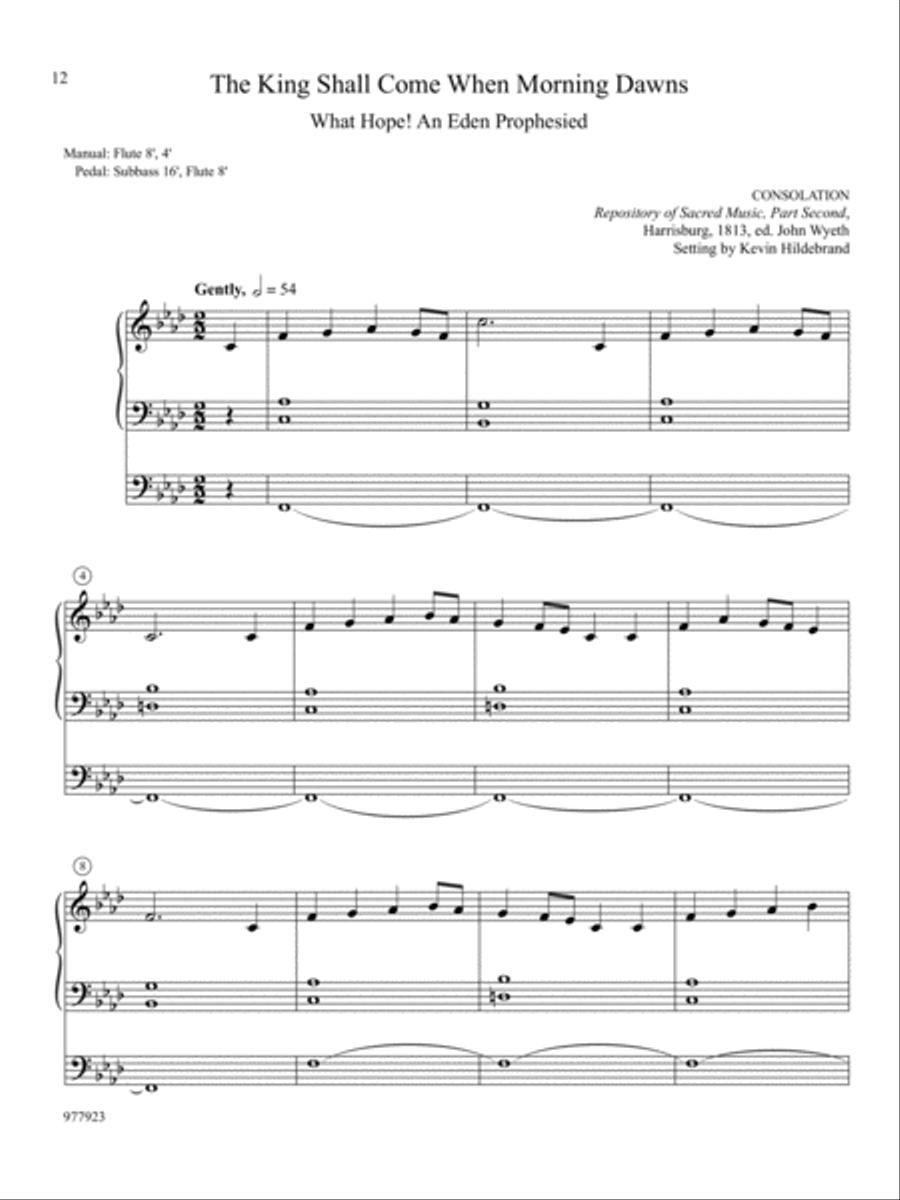 Hosanna, Praise, and Glory: Fourteen Easy Organ Preludes for Advent Organ scores gallery preview page 5