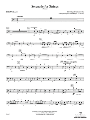 Book cover for Serenade for Strings: String Bass