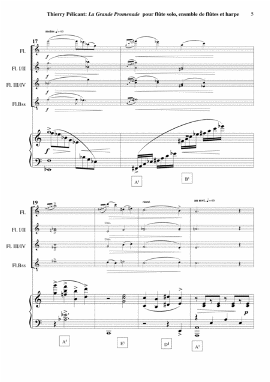Thierry Pélicant: La Grande Promenade for solo flute, flute ensemble and harp Flute Solo scores gallery preview page 5