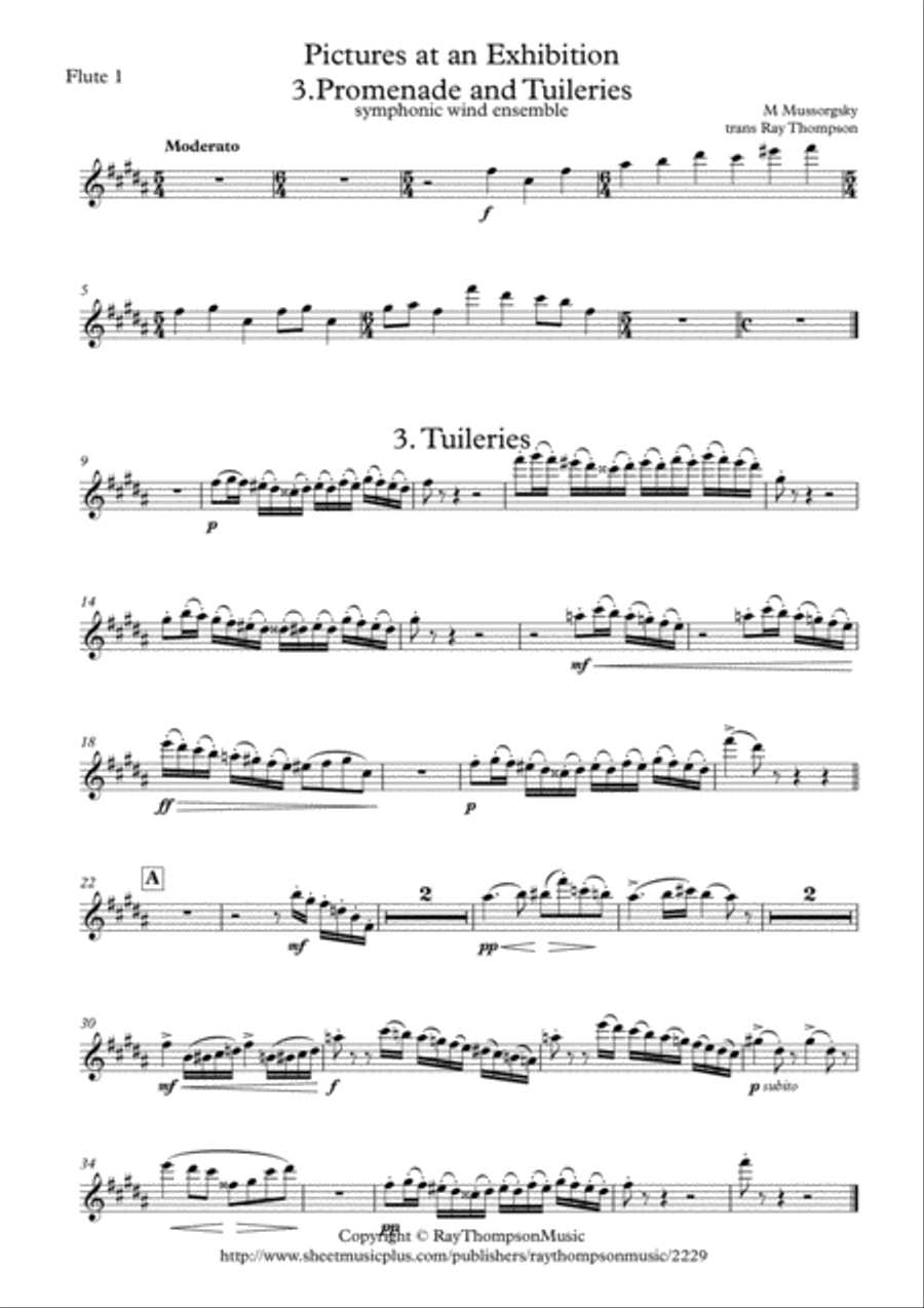 Mussorgsky: Pictures at an Exhibition Promenade and No.3 Tuileries (Children's quarrel after games)- Woodwind Quintet scores gallery preview page 6