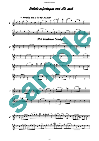 Exlusief Methodisch Overzicht for flute