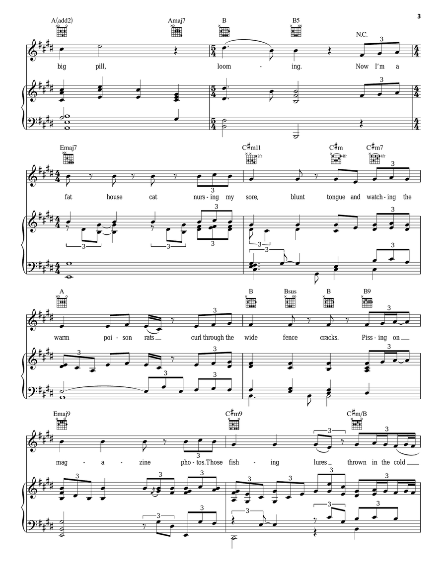 Flightless Bird, American Mouth (Wedding Version) Piano, Vocal, Guitar scores gallery preview page 3