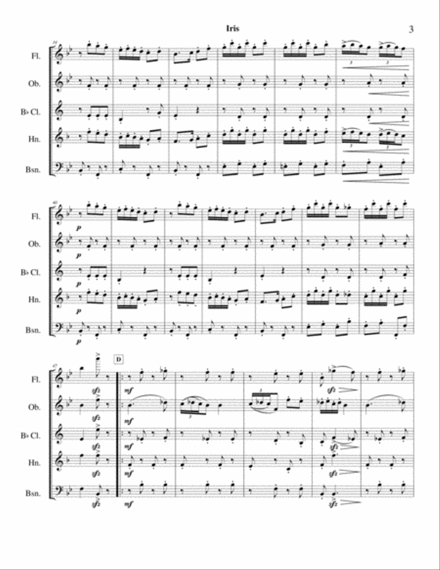 Iris Rag (E. Ephraim) - woodwind quintet Woodwind Quintet scores gallery preview page 3