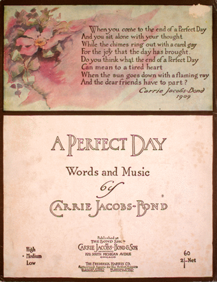Book cover for A Perfect Day
