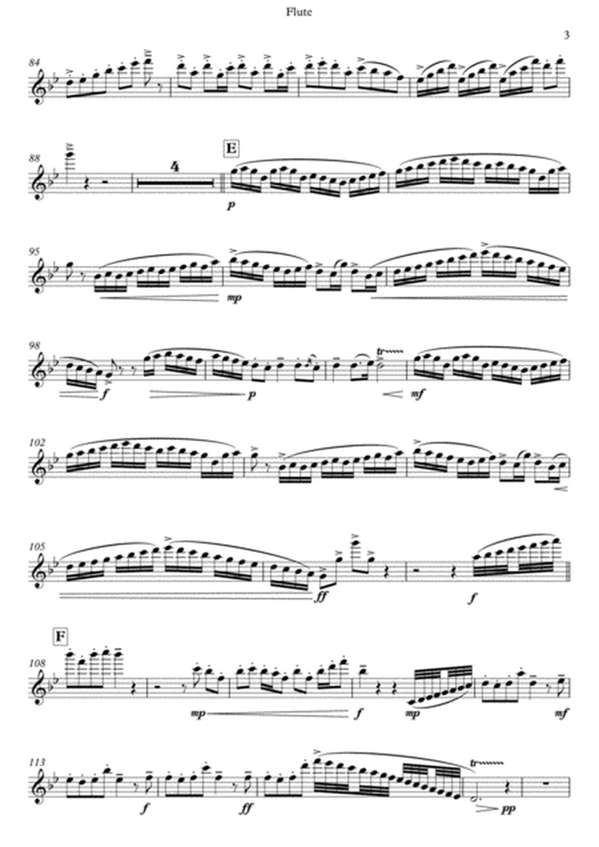 Sonata for Flute No. 1 (Flute Part Only) image number null