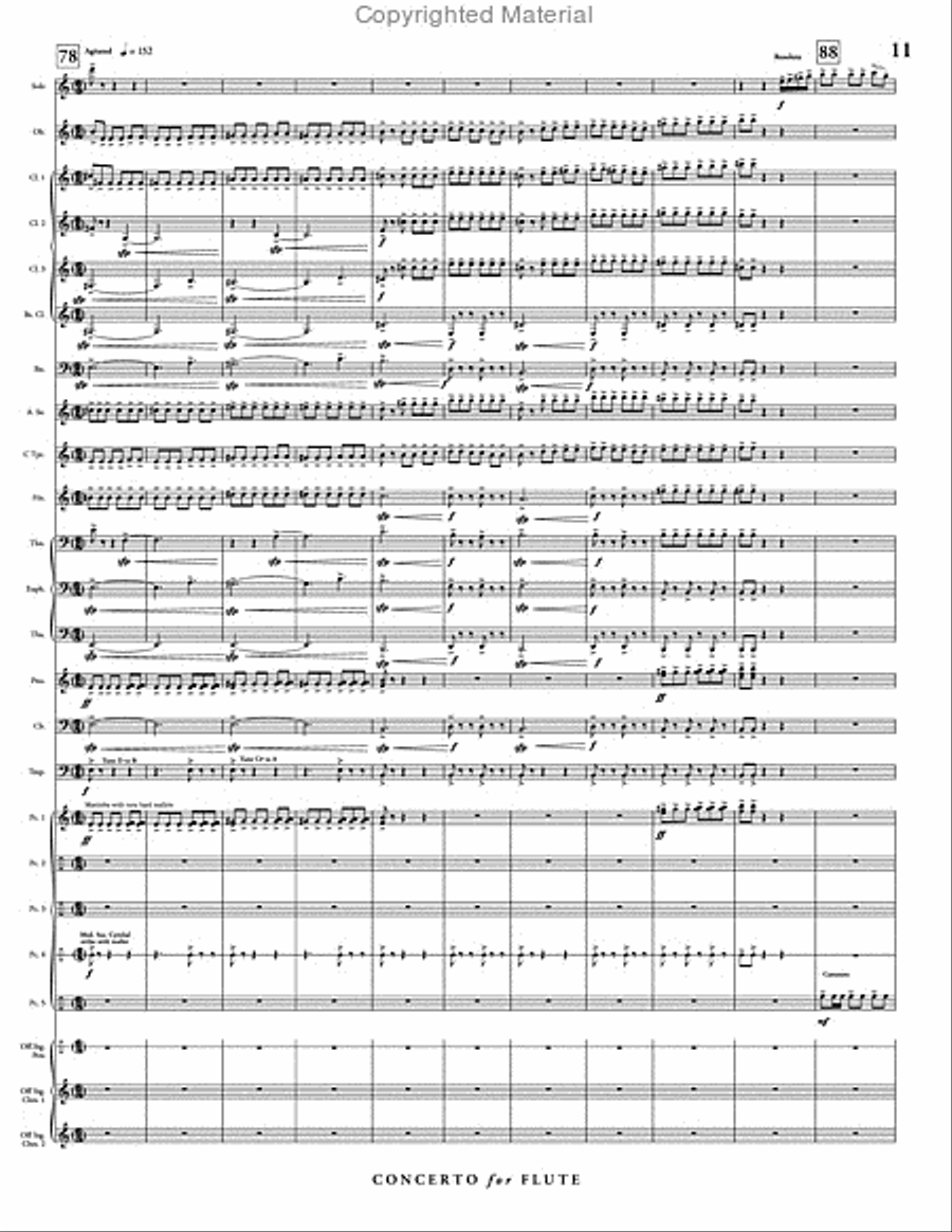 Concerto for Flute & Wind Ensemble Concert Band scores gallery preview page 12