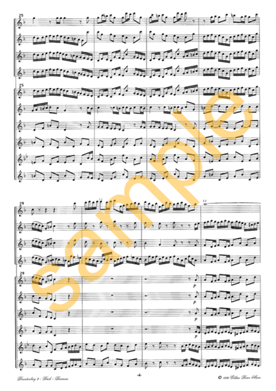 2nd Brandenburg Concerto 2nd Brandenburg Concerto Flute Choir scores gallery preview page 8
