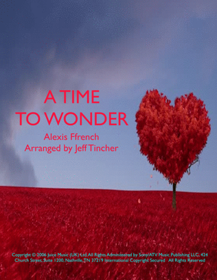 Book cover for A Time Of Wonder