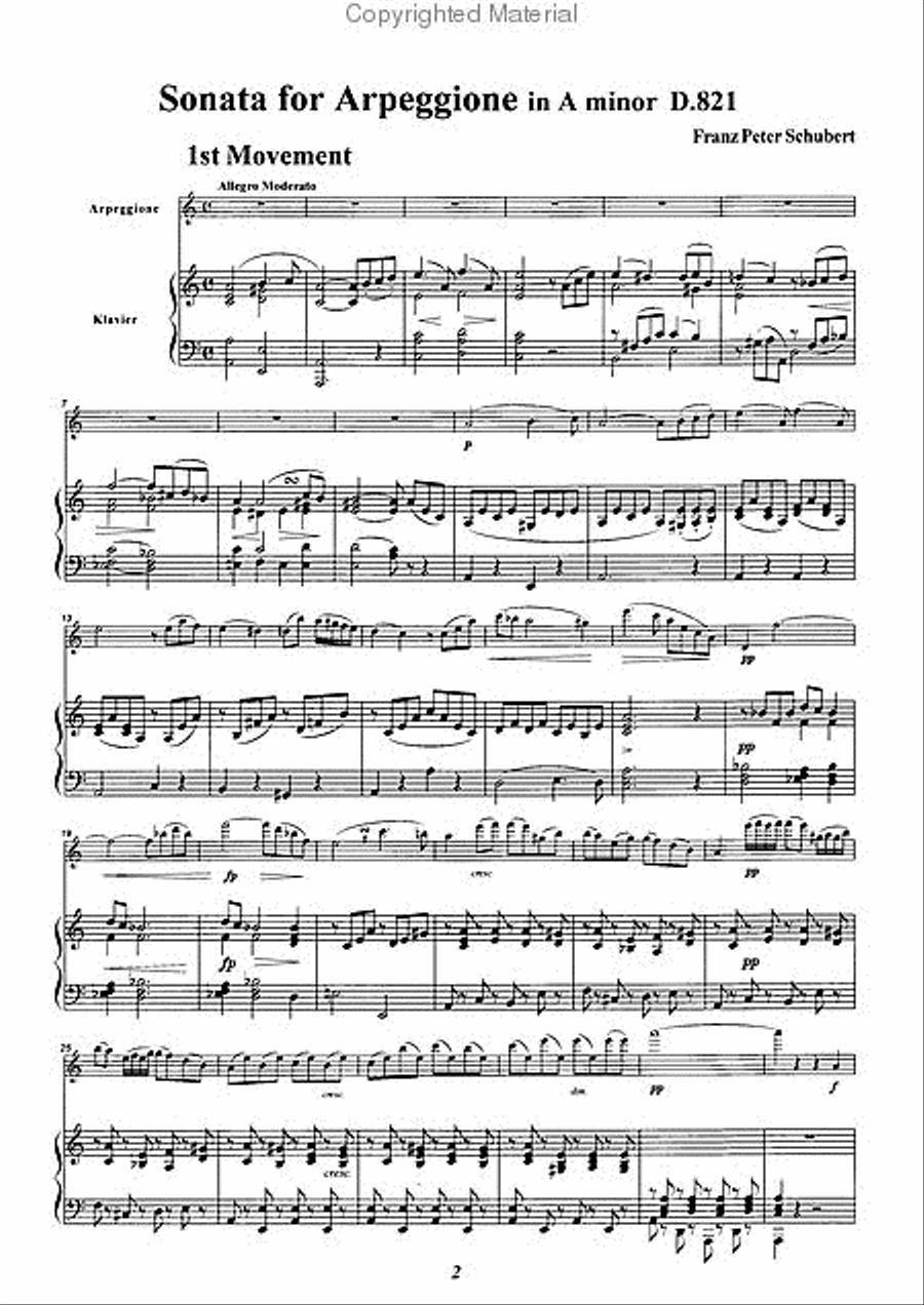 Sonata for Arpeggione 1st Movement Alto Recorder scores gallery preview page 3