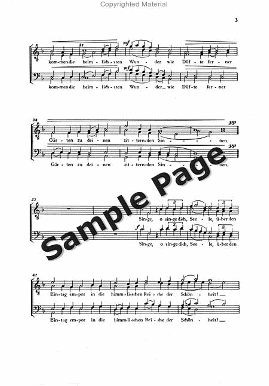 Wittmer El Festliche Hymne Men's Choir scores gallery preview page 4
