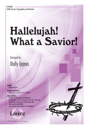Book cover for Hallelujah! What a Savior!
