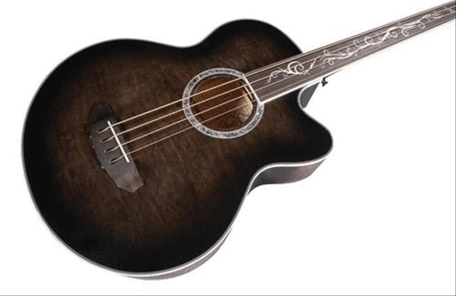 Dragonfly 4 Fretless Acoustic Guitar scores gallery preview page 4