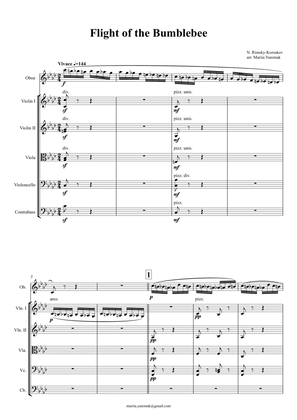 N. Rimsky-Korsakov – Flight of the Bumblebee (for string orchestra and a solo instrument)