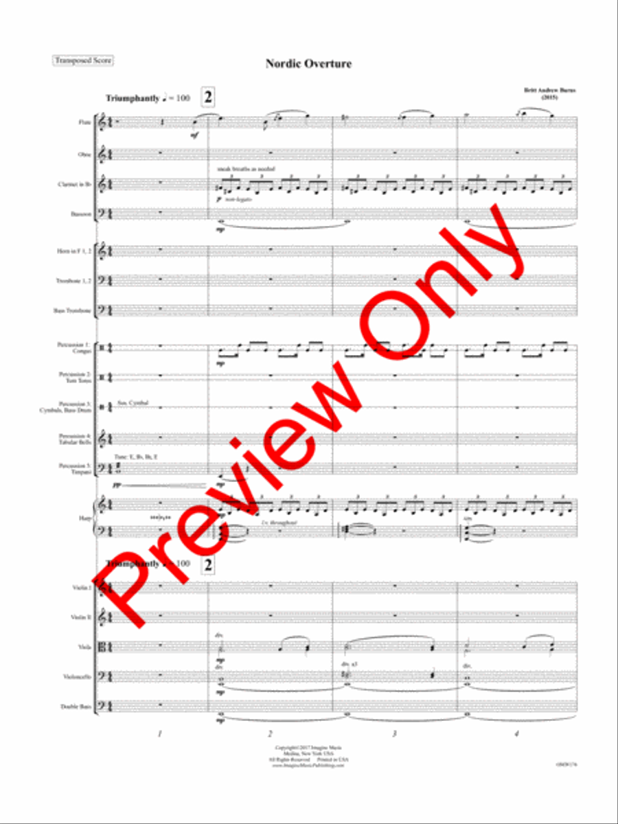 Nordic Overture Full Orchestra scores gallery preview page 4