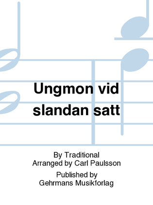 Book cover for Ungmon vid slandan satt