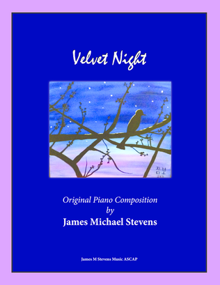 Book cover for Velvet Night