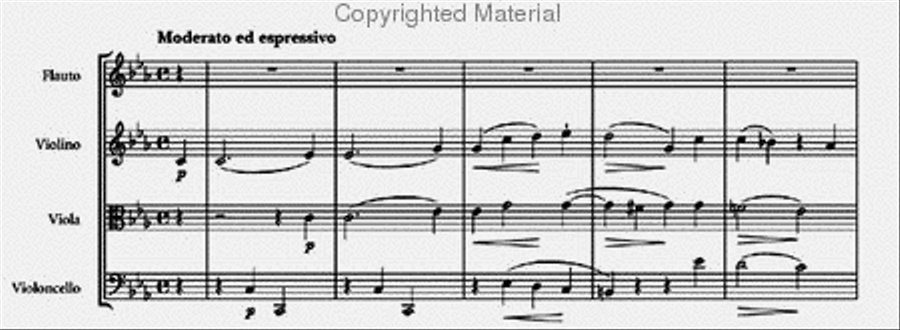 Quartet in C minor Quartet in C minor Flute scores gallery preview page 2