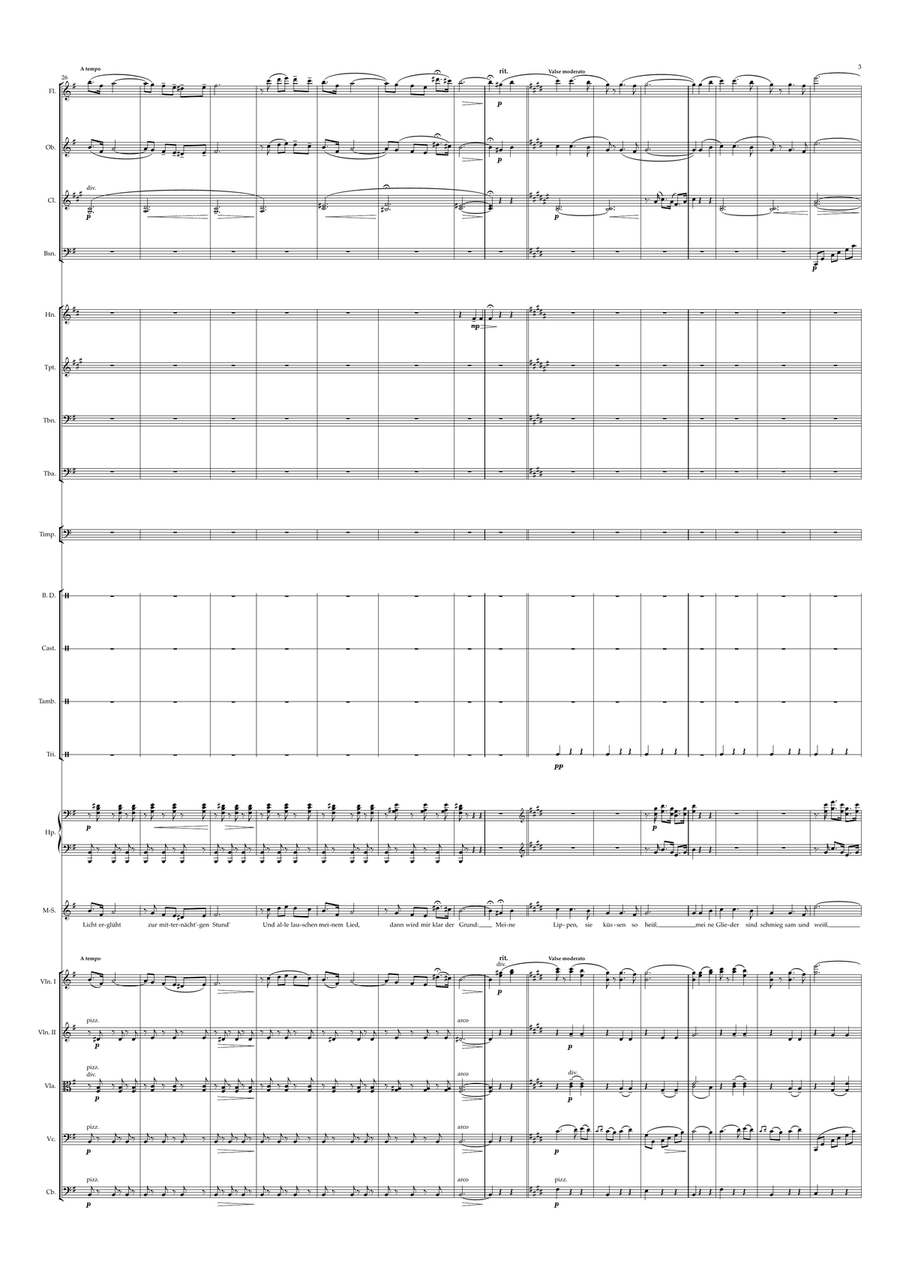 Meine Lippen, sie küssen so heiß (Orchestra Arrangement) image number null