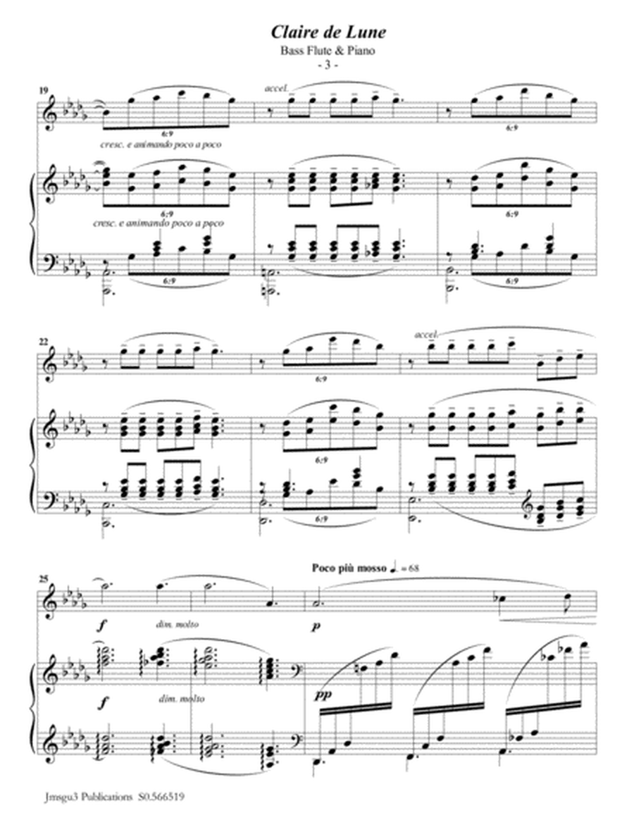 Debussy: Claire de Lune for Bass Flute & Piano image number null