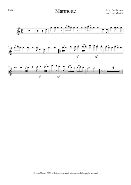 MARMOTTE by Beethoven - transcription for Flute and Piano