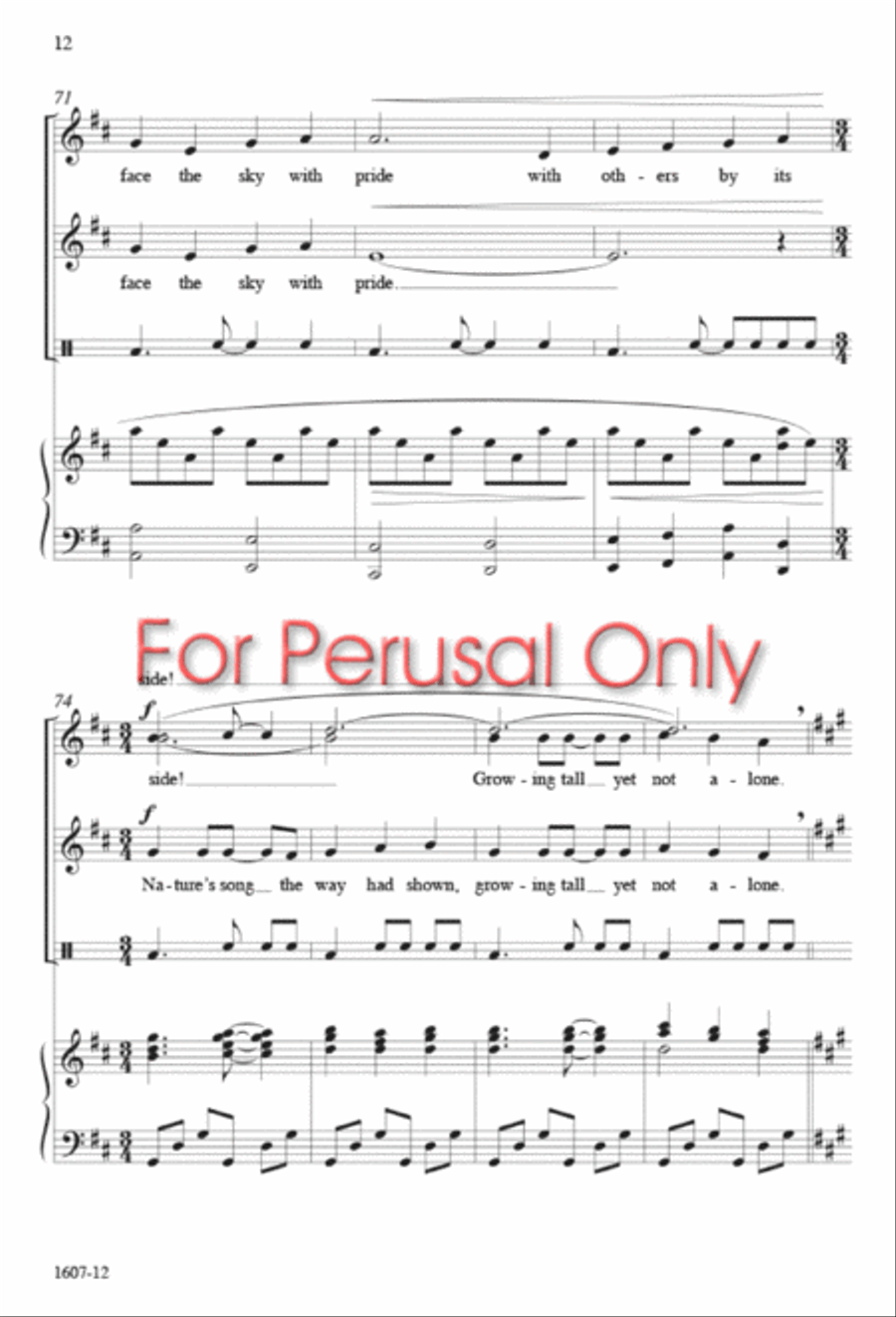 The Seedling - SA Octavo SA scores gallery preview page 11