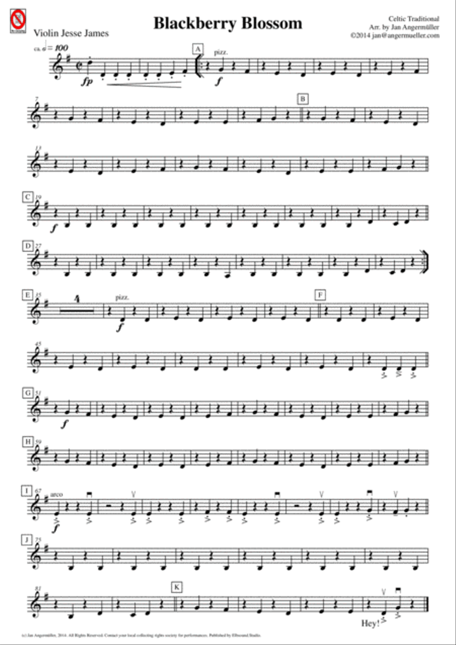 Blackberry Blossom (for mixed school orchestra) Chamber Orchestra scores gallery preview page 3