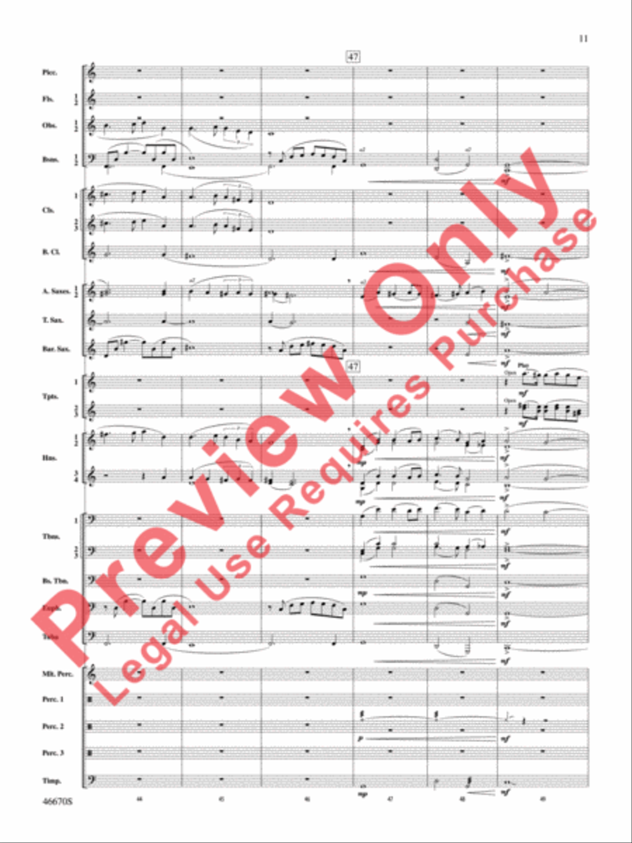 The Falls Concert Band scores gallery preview page 12
