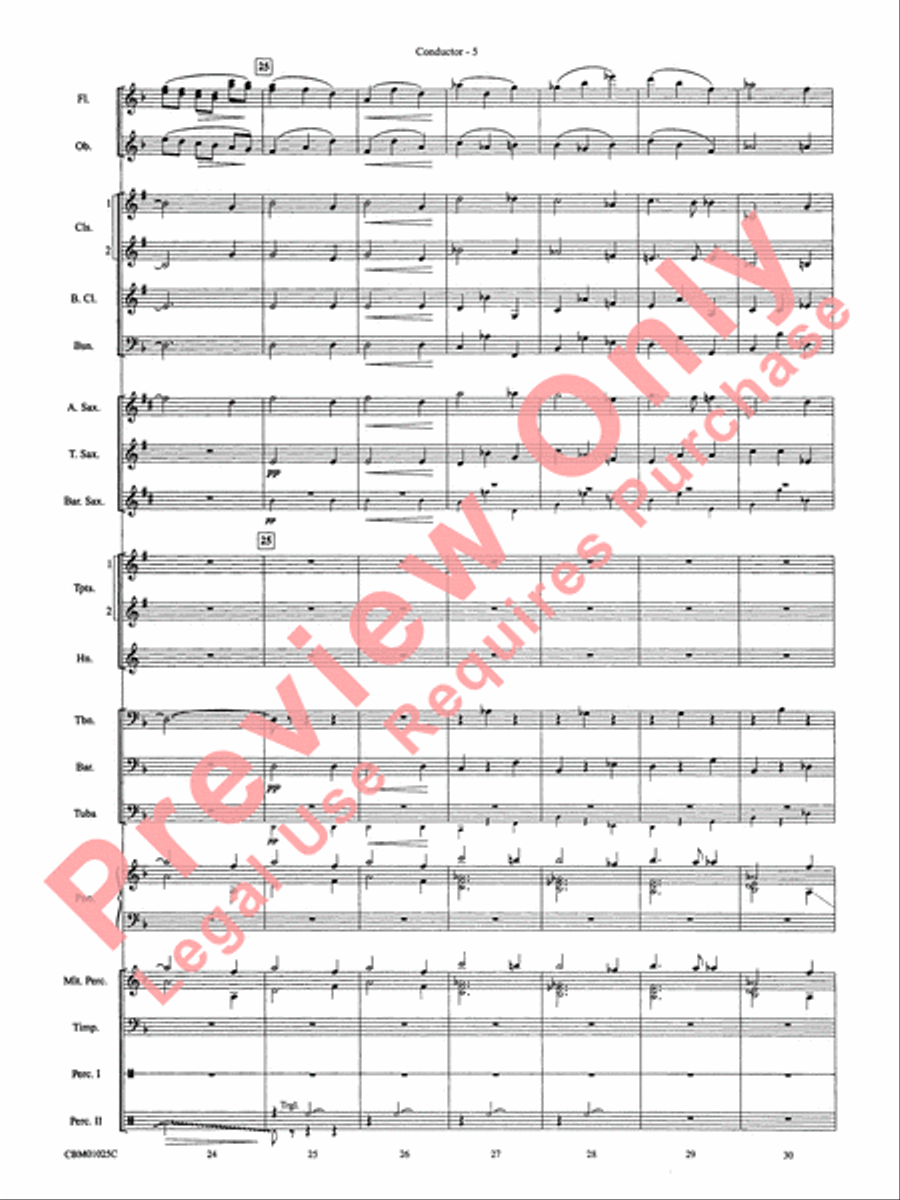 Hedwig's Theme - Cb Hedwig's Theme - Cb Concert Band scores gallery preview page 8