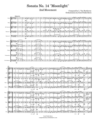 Moonlight Sonata (Movement II) for orchestra