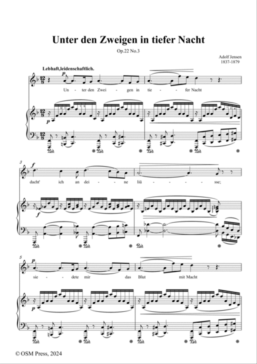 A. Jensen-Unter den Zweigen in tiefer Nacht,in F Major,Op.22 No.3 Voice scores gallery preview page 2