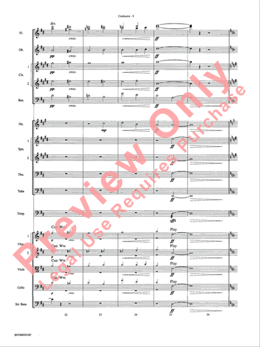 Largo (Going Home from the New World Symphony) Full Orchestra scores gallery preview page 8