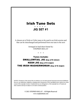 Irish Tune Sets: Jig Set #1 - (Swallowtail Jig, Kesh Jig & The Irish Washerwoman) arranged in lead s