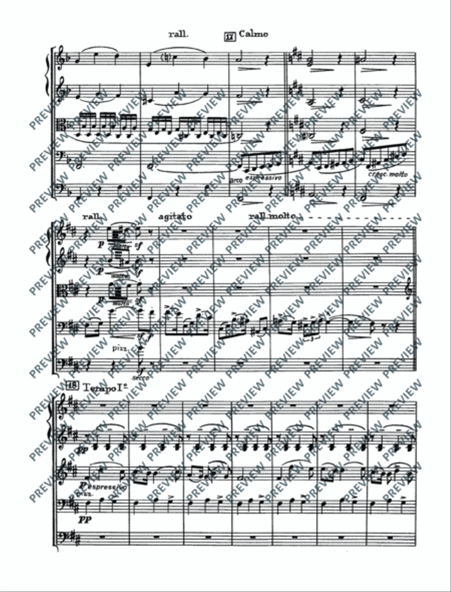 Quartet in D Quartet in D String Quartet scores gallery preview page 21