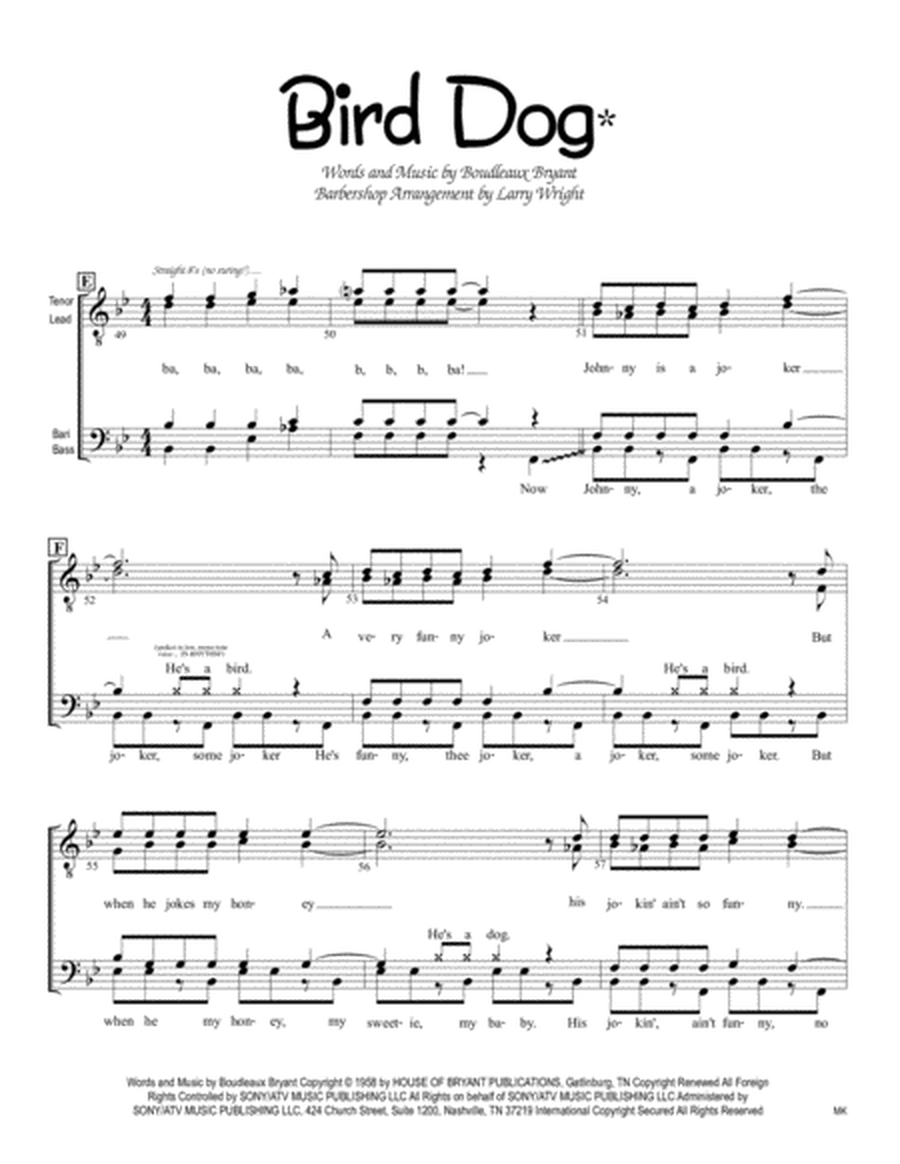 Bird Dog* (men)