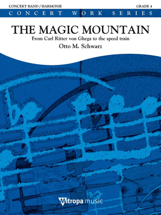 Book cover for The Magic Mountain