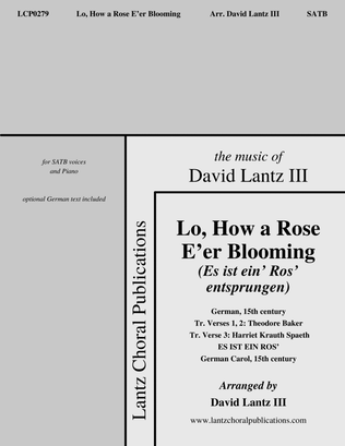 Lo, How a Rose E‘er Blooming