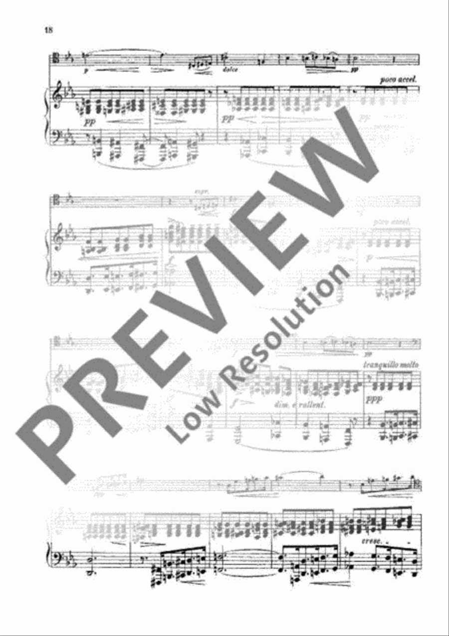 Sonata G Minor Piano Accompaniment scores gallery preview page 17